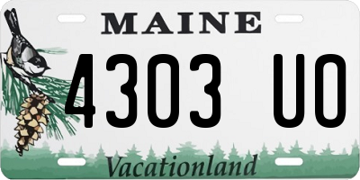 ME license plate 4303UO