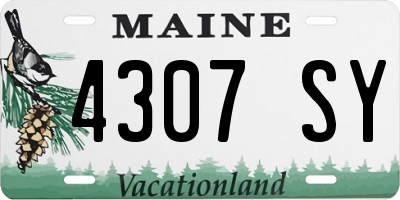 ME license plate 4307SY