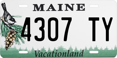 ME license plate 4307TY