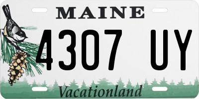 ME license plate 4307UY