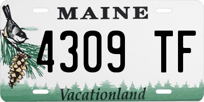 ME license plate 4309TF