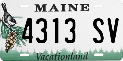 ME license plate 4313SV