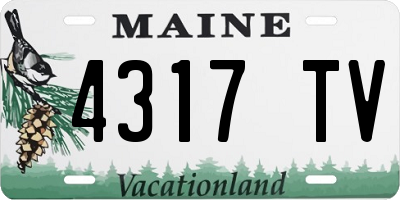 ME license plate 4317TV