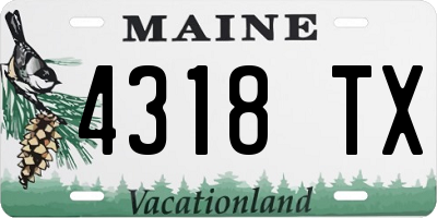 ME license plate 4318TX
