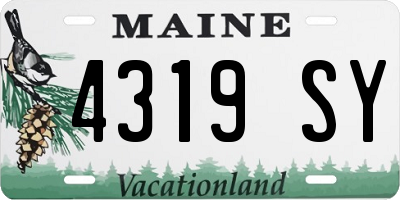 ME license plate 4319SY