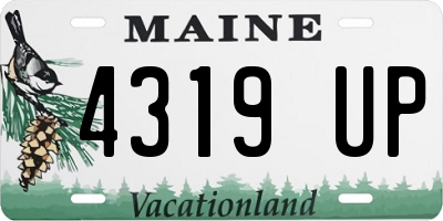 ME license plate 4319UP