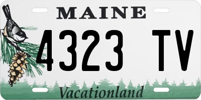 ME license plate 4323TV