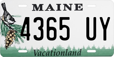 ME license plate 4365UY