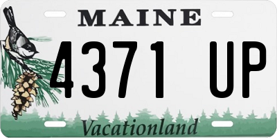 ME license plate 4371UP