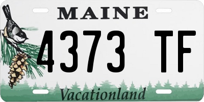 ME license plate 4373TF