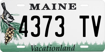 ME license plate 4373TV