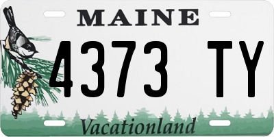 ME license plate 4373TY