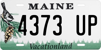 ME license plate 4373UP