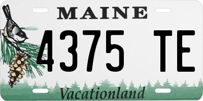 ME license plate 4375TE