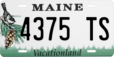 ME license plate 4375TS