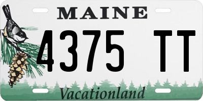 ME license plate 4375TT