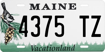 ME license plate 4375TZ