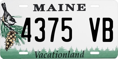 ME license plate 4375VB