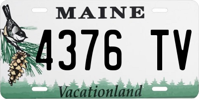 ME license plate 4376TV