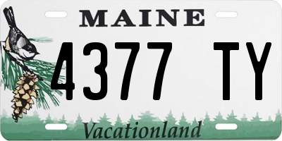 ME license plate 4377TY