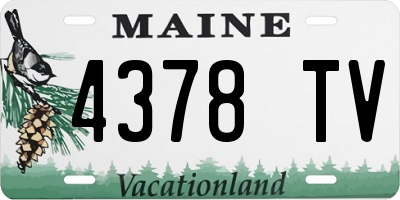 ME license plate 4378TV