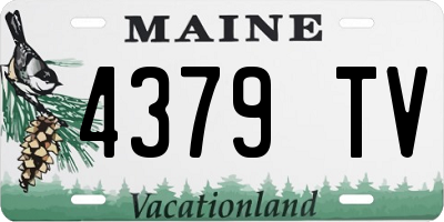 ME license plate 4379TV
