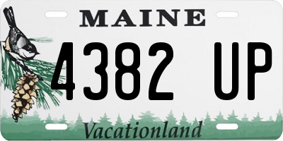 ME license plate 4382UP