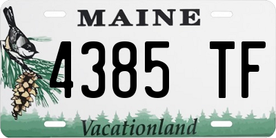 ME license plate 4385TF
