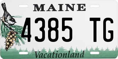 ME license plate 4385TG