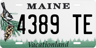ME license plate 4389TE