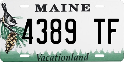 ME license plate 4389TF