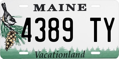 ME license plate 4389TY