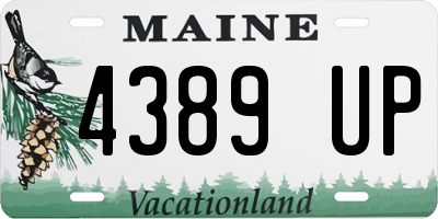 ME license plate 4389UP