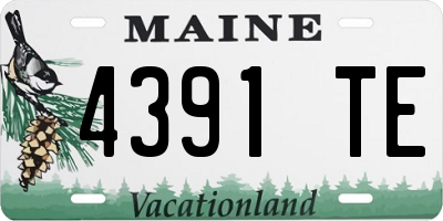 ME license plate 4391TE