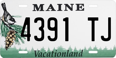 ME license plate 4391TJ