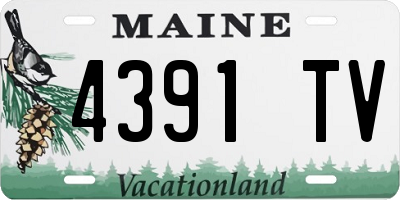 ME license plate 4391TV
