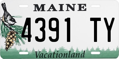 ME license plate 4391TY