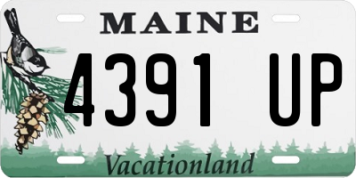 ME license plate 4391UP