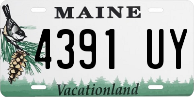 ME license plate 4391UY