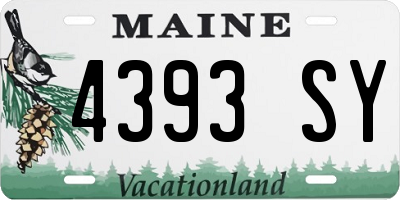 ME license plate 4393SY