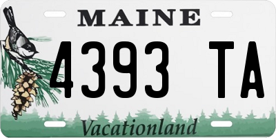 ME license plate 4393TA