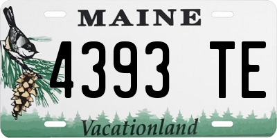 ME license plate 4393TE
