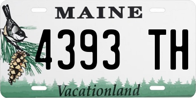 ME license plate 4393TH