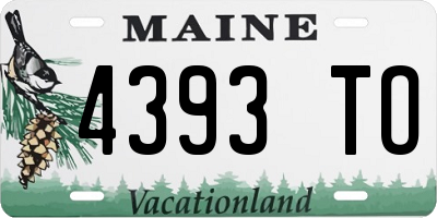ME license plate 4393TO