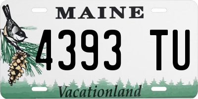 ME license plate 4393TU