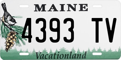 ME license plate 4393TV