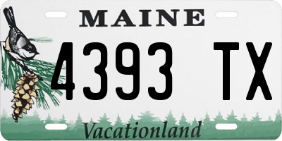 ME license plate 4393TX