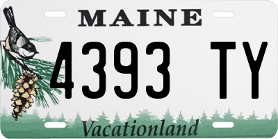 ME license plate 4393TY