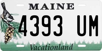 ME license plate 4393UM
