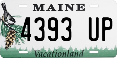 ME license plate 4393UP